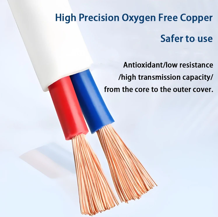 National standard BVVB/RVVB pure copper core sheathed wire 2-core 3-core  1/1.5/2.5/4/6 square white household wire