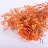 Arancione