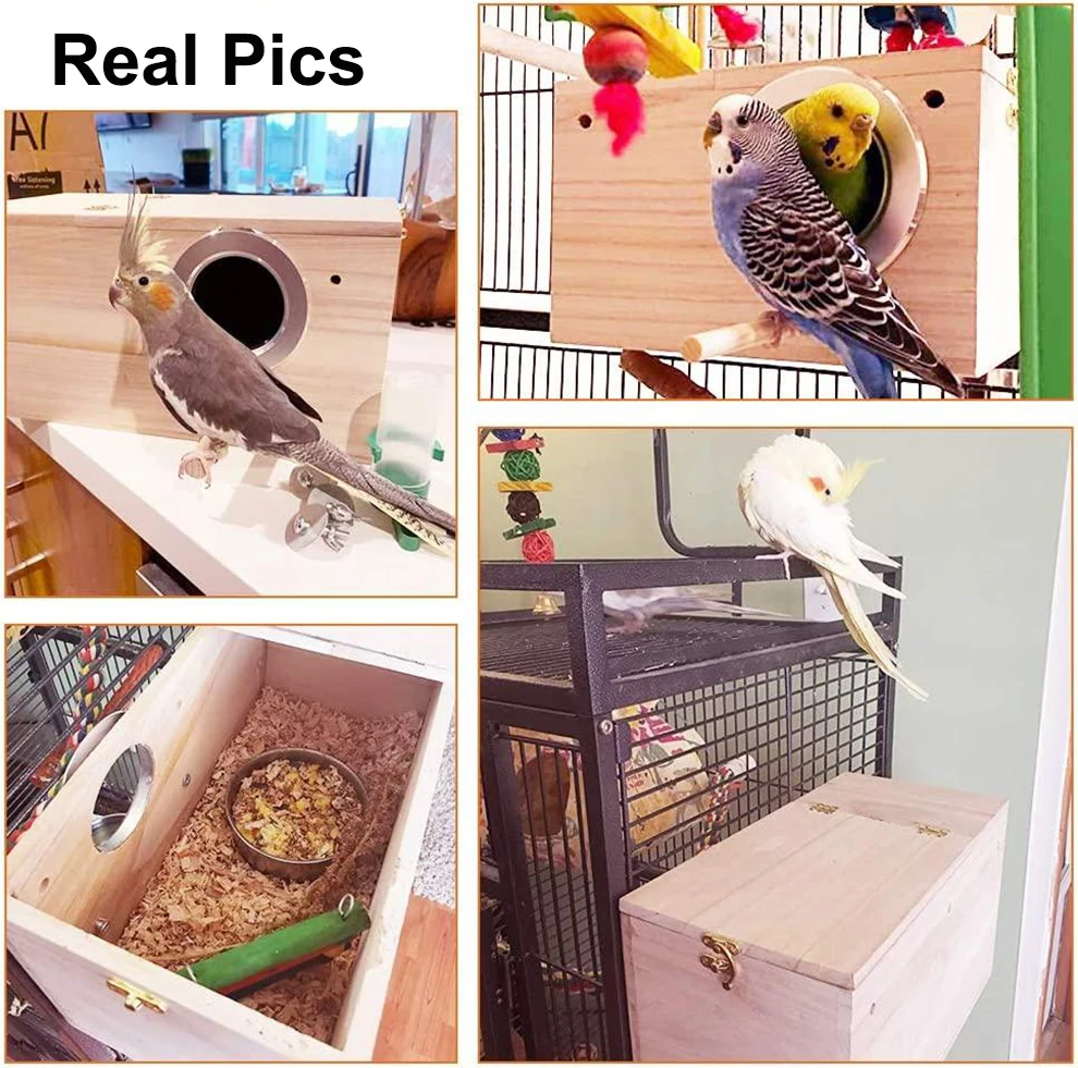 Gallery image with a fresh perspective