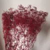 Rosso scuro