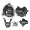 S1000RR-09-16 carbonio
