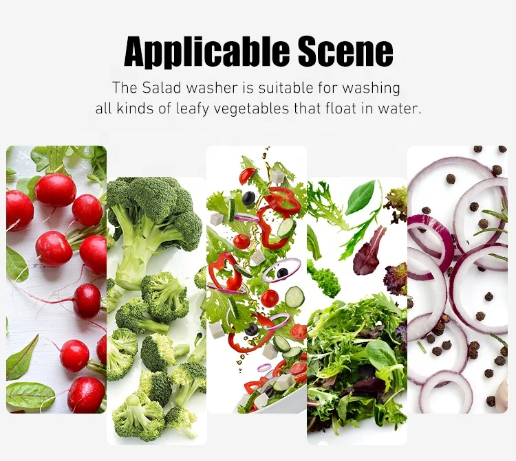 Salad Vortex Cleaning Machine supplier