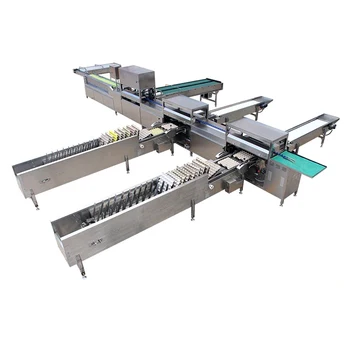 5000 EGG Washing Packing And Grading Machine Processing Line