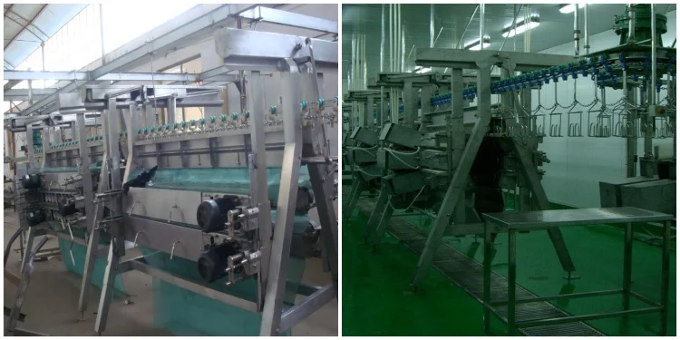 High-efficiency poultry slaughtering line, processing 1,000-3,000 poultry per hour