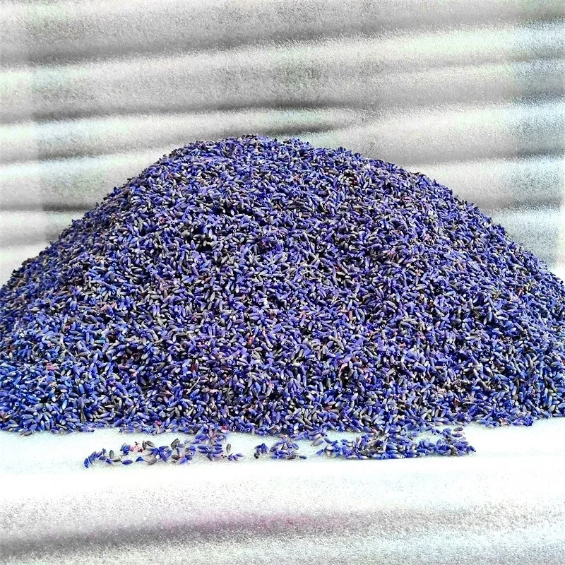 
 Top Quality Ornamental Flower bulbs Seeds Lavender Seeds For Sowing Decor Make Sachet Scented candles  