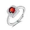 JH0289-5Garnet