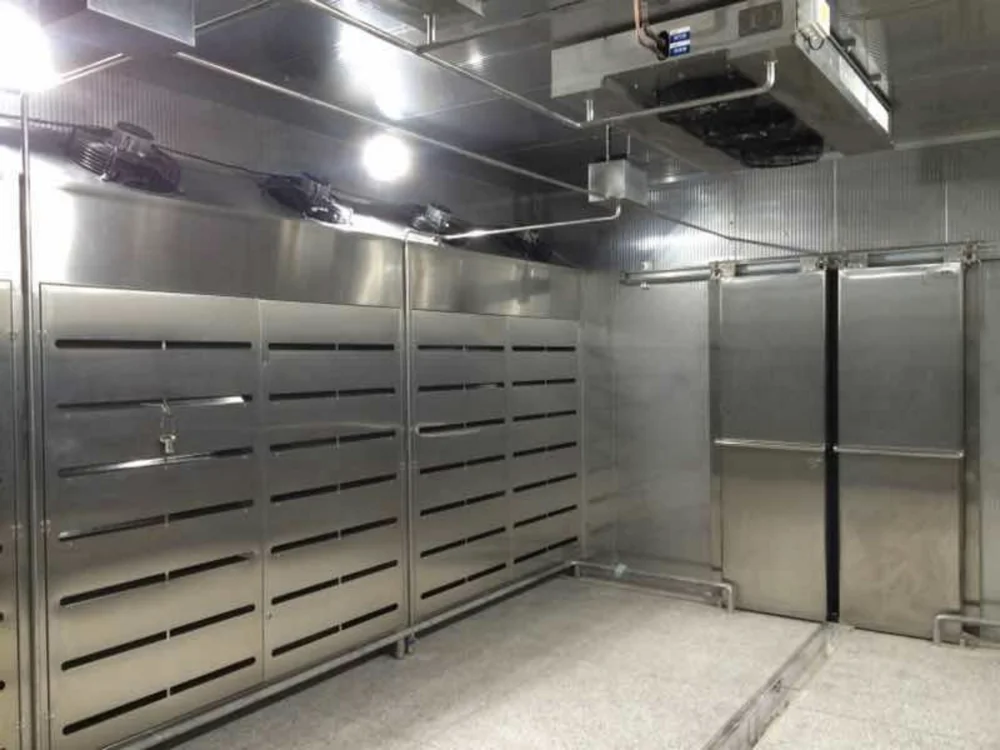 Customized Industrial High Humidity Low Temperature Thawing Machine for Core Meat Processing Lines