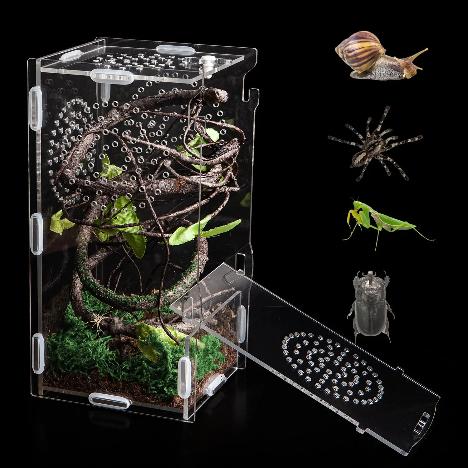 Jumping Spider Enclosure, Acrylic Praying Mantis Habitat, Insect Terrarium, Small Reptile Cage Accessories with Secure Lock