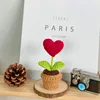 B red love potted plant