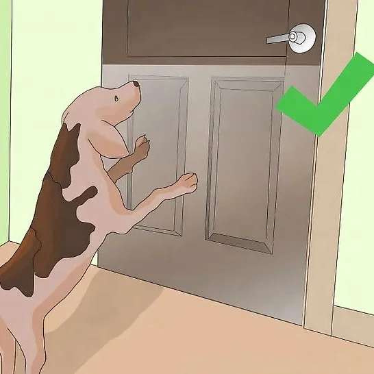 Как защитить двери от царапин