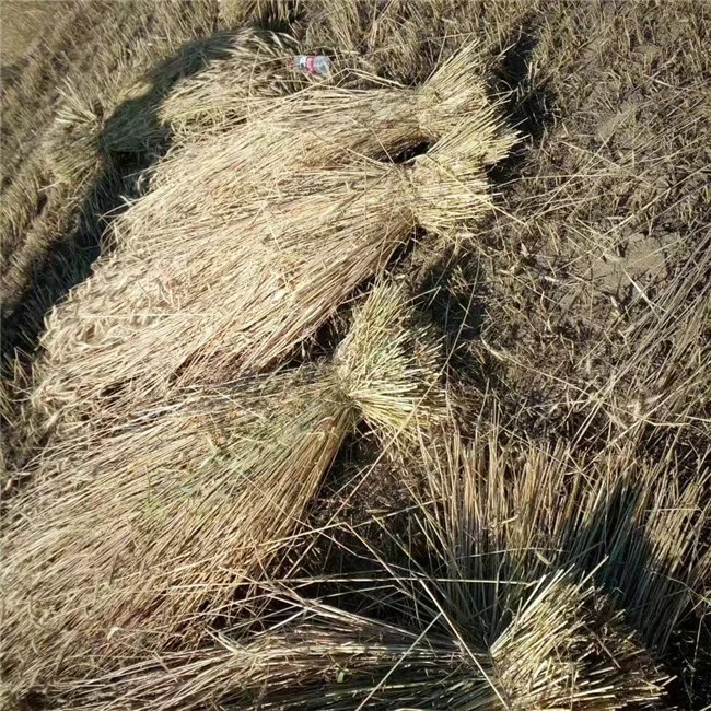 Лидер продаж бумажник для уборки Сезам надежного