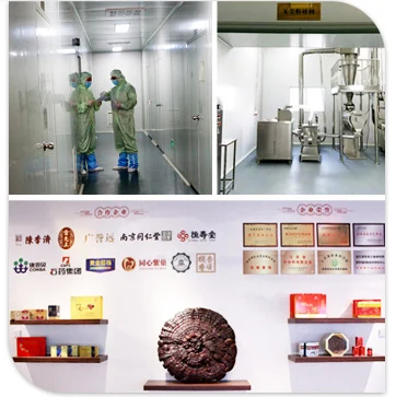 Ginseng Extract Reishi Mushroom Ganoderma Lucidum Product