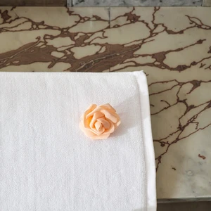 CHENHONG Brand New High Quality Woven Solid Color 5 Star Hotel Luxury Eco-Friendly Hypoallergenic Compressed Bathroom Face Bath