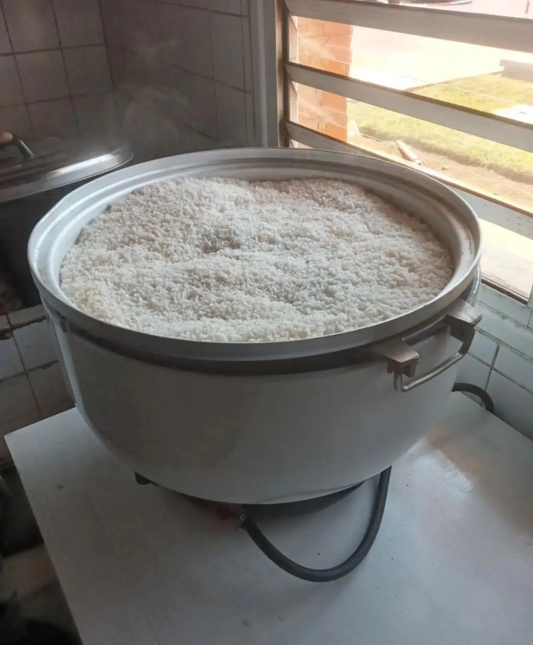 Economical Biogas Rice Cooker