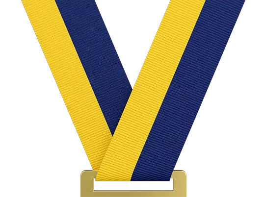 Golden Yellow / Navy Blue