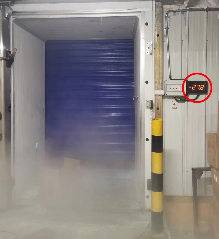 Cold Room Storage, cold storage door - detail 6