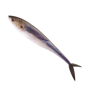 Cheery DN 12.5cm 11g Fluke Lure Split Tail Soft Plastic Fishing Lure Swimbait Bass Shad Fishing Lure De Pesca Soft Bionic – Soft Lure – view 4