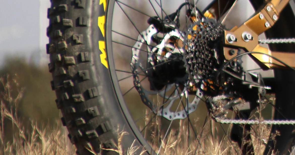 American Warehouse Chain Drive Electric Bike Fat Ebike Mountain Bike 48v 1000w With Dual