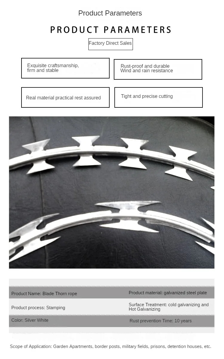 Lows Prices Prison Mesh Fence Hot Dipped Galvanized Galvanized Razor ...