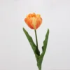 Arancione