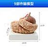 Anatomie naturelle du cerveau (avec étiquettes)