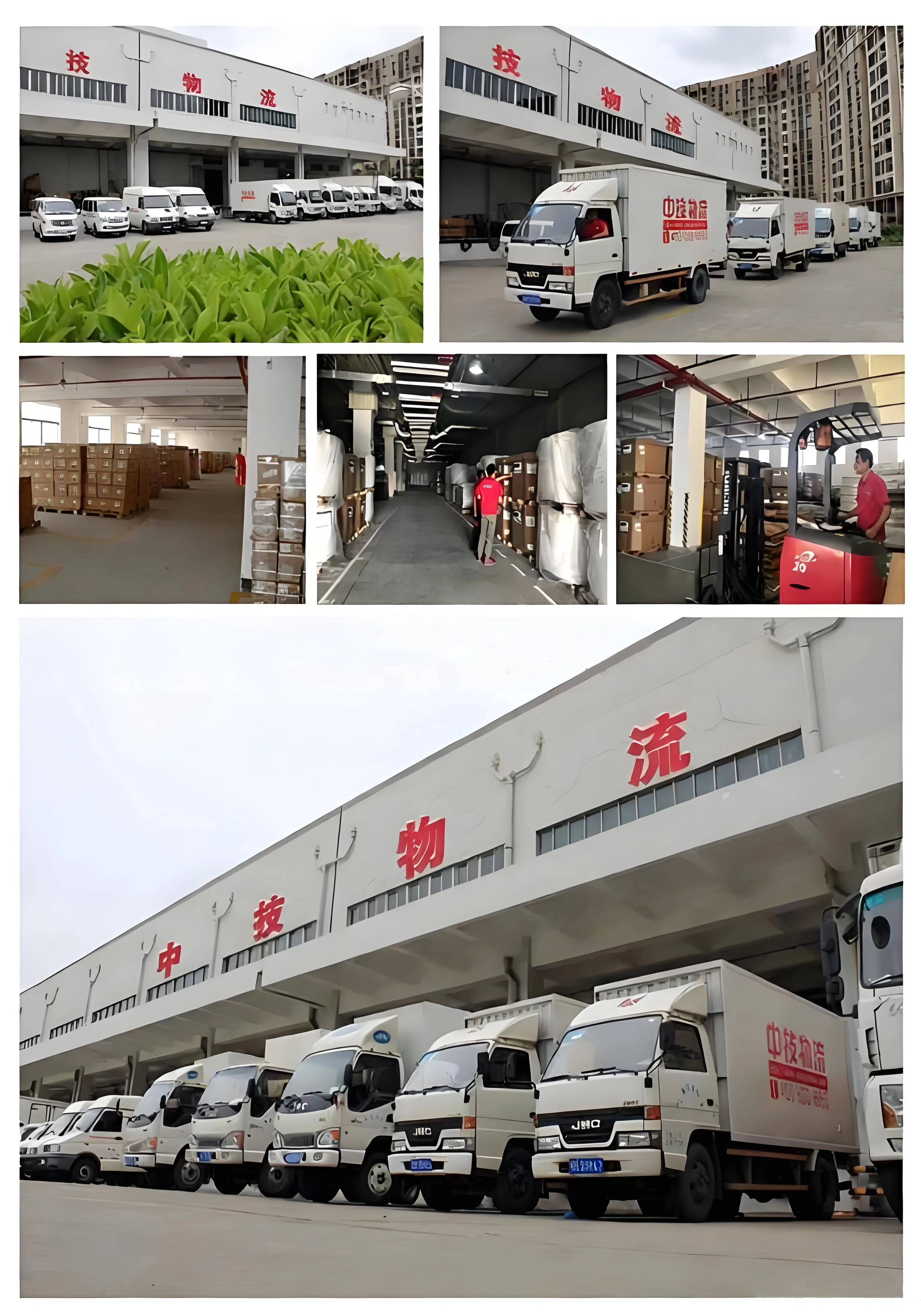 Cheapest Freight Forwarder Shipping Agent DDP Logistics Service From China to EUROPE Australia USA Canada GERMANY UK FRANCE