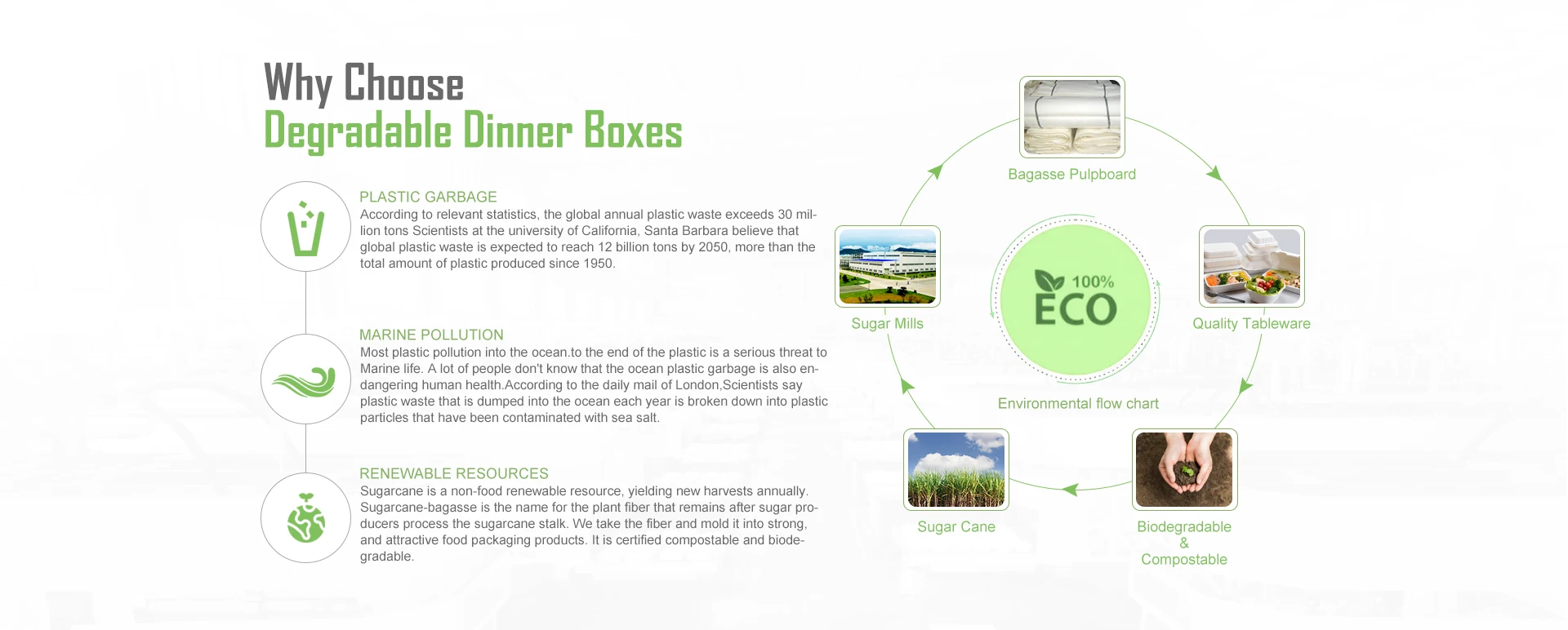 Fast packaging Biodegradable food bento lunch box recycling