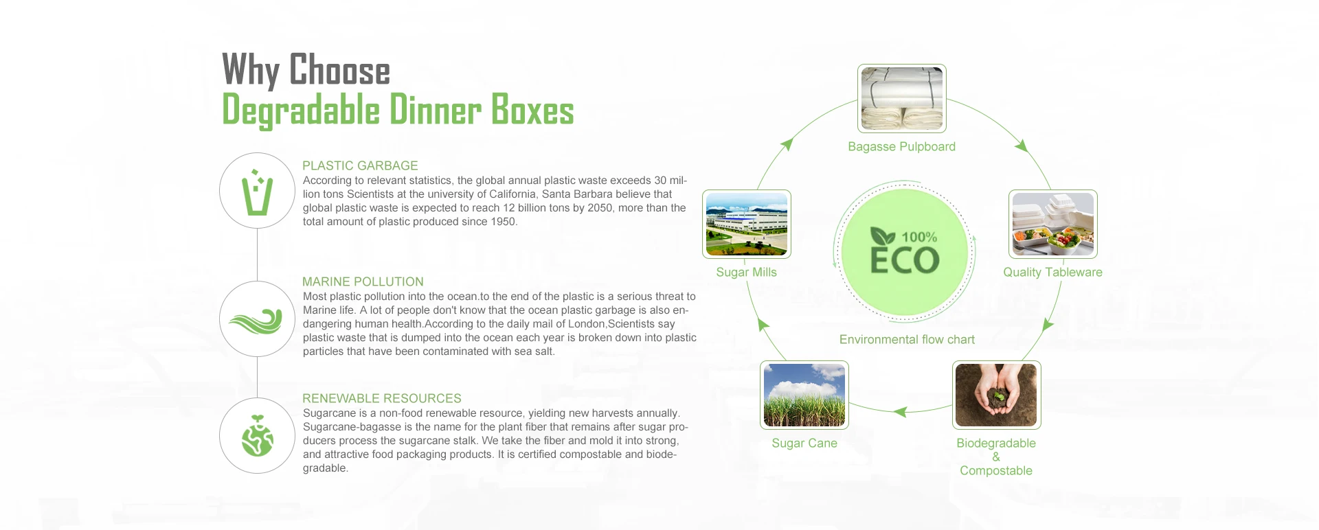 sugarcane bowls plates cups square box bagasse food container manufacturers
