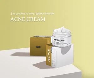 Private Label logo Custom Skin Care Manufacturer Light Glow Whitening Anti Ance Best Face Cream for Oily Skin Manufacturer