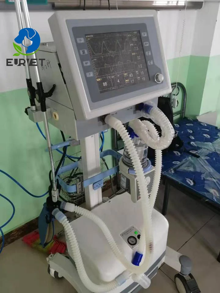 EUR PET Hot Sale Medical Apparatus Anaesthesia With Vaporizer Veterinary Equipment Ventilation Painless Anesthesia Machine