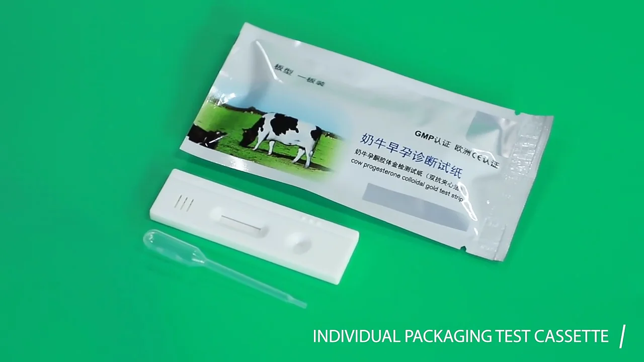Hcy Home Use Pregnancy Test Kit Cattle Cow Urine Pregnancy Test Paper Kit Buy Home Pregnancy 6695
