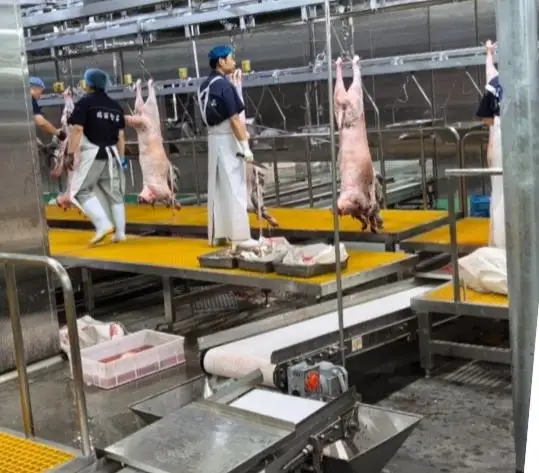 Industrial automatic halal mutton slaughtering equipment for modern slaughterhouse, complete goat slaughtering production line