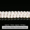 Perlas de Arroz de Agua Dulce Naturales Blancas 5A