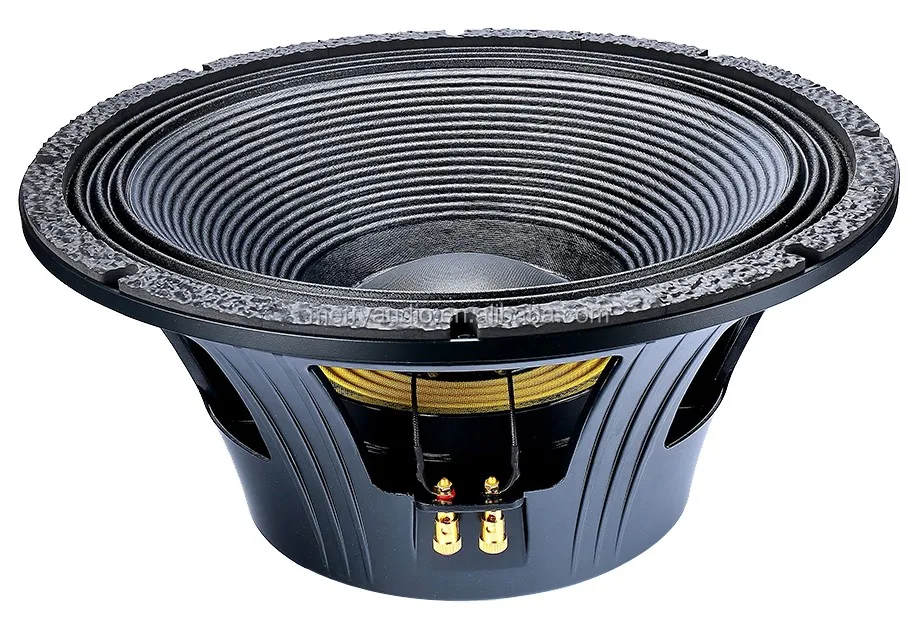 P Audio 18 Inch Speaker Bass Price Black C18-800EL P Audio Speaker