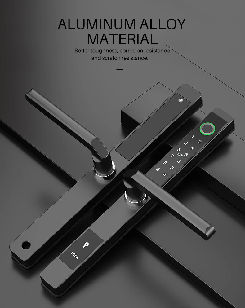 Eseye Keyless Ttlock Electronic Intelligent Door Handle Lock