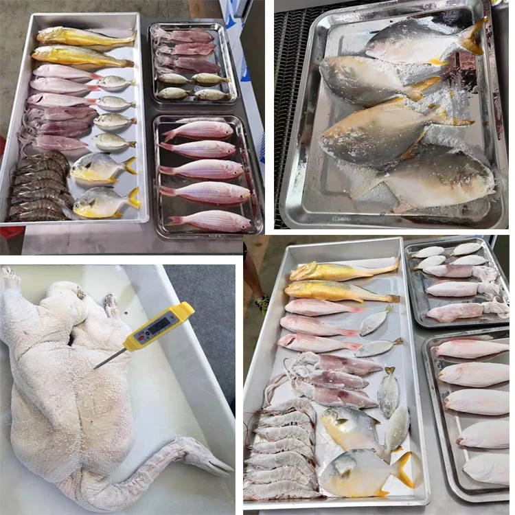 Промышленный производитель, замороженные морепродукты и овощная обработка, Морозильный аппарат