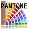 Pantone Colors