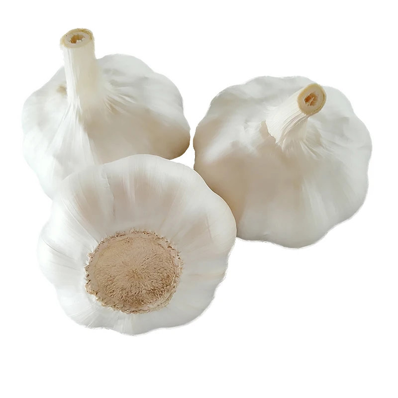 Lowest Price Of Garlic Fresh New Crop For Kenya