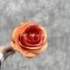 DZ007-6   ดีแซด007-6