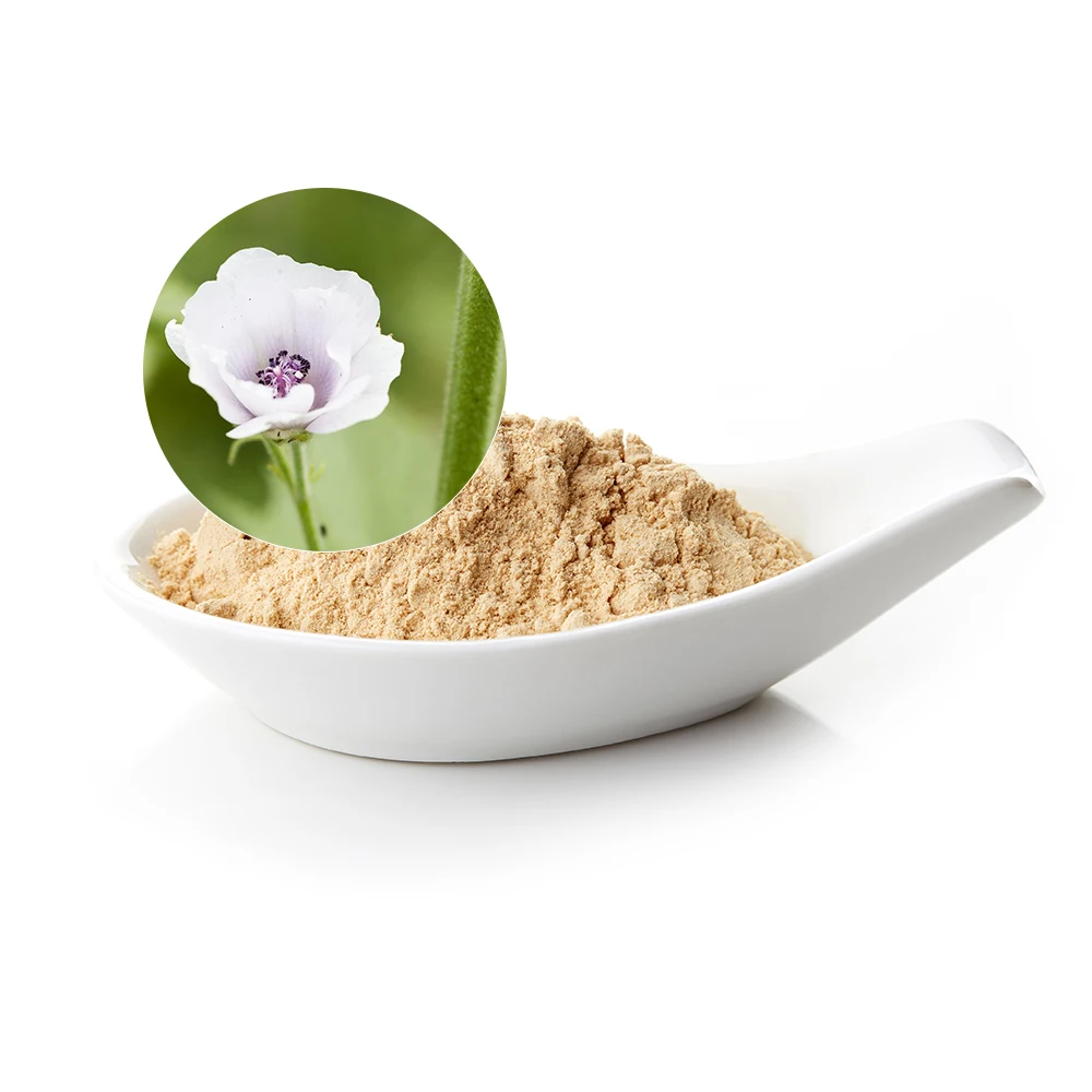 High Quality Halal Marshmallow Root Extract Powder Skin Moisturizing Althaea Officinalis Marshmallow Extract
