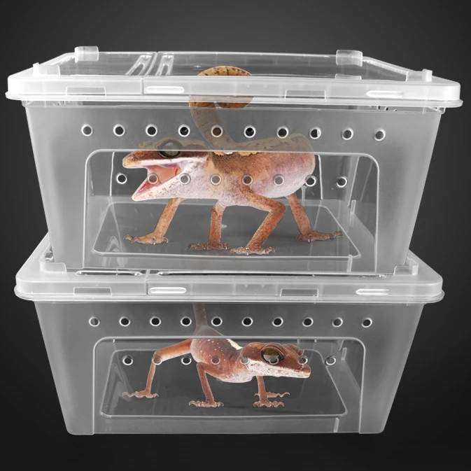 Portable Transparent Snake Breeding Box With Lid For Bearded Dragon ...