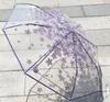 Púrpura