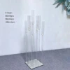 9 head silver