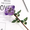 colorful Purple