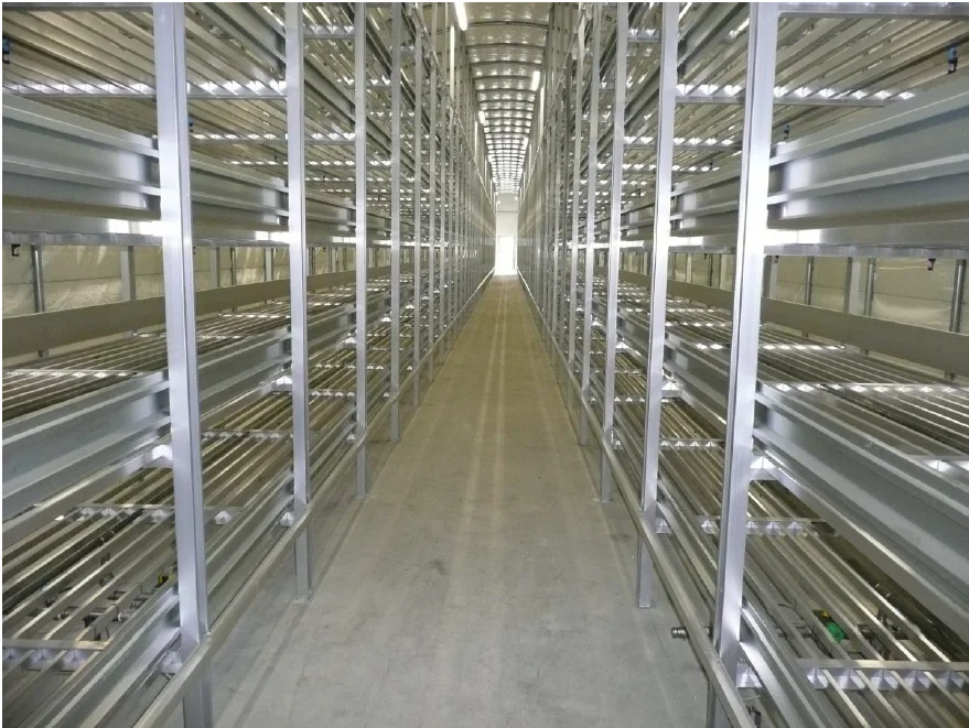 Aluminum Mushroom Growing Shelving Buy Mushroom Growing Shelving