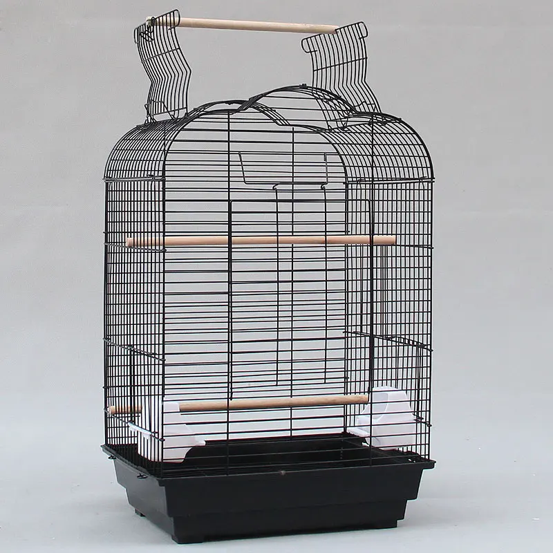 parrot cage online shopping