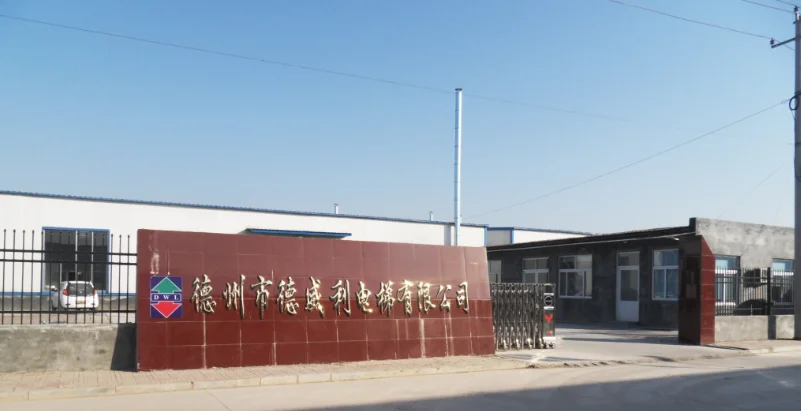 Dezhou City Deweili Elevator Co., Ltd. 3