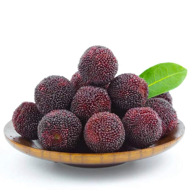 chinese fresh fruit red waxberry juicy red bayberry chinese yang