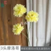 3 Moroccan TY Yellow