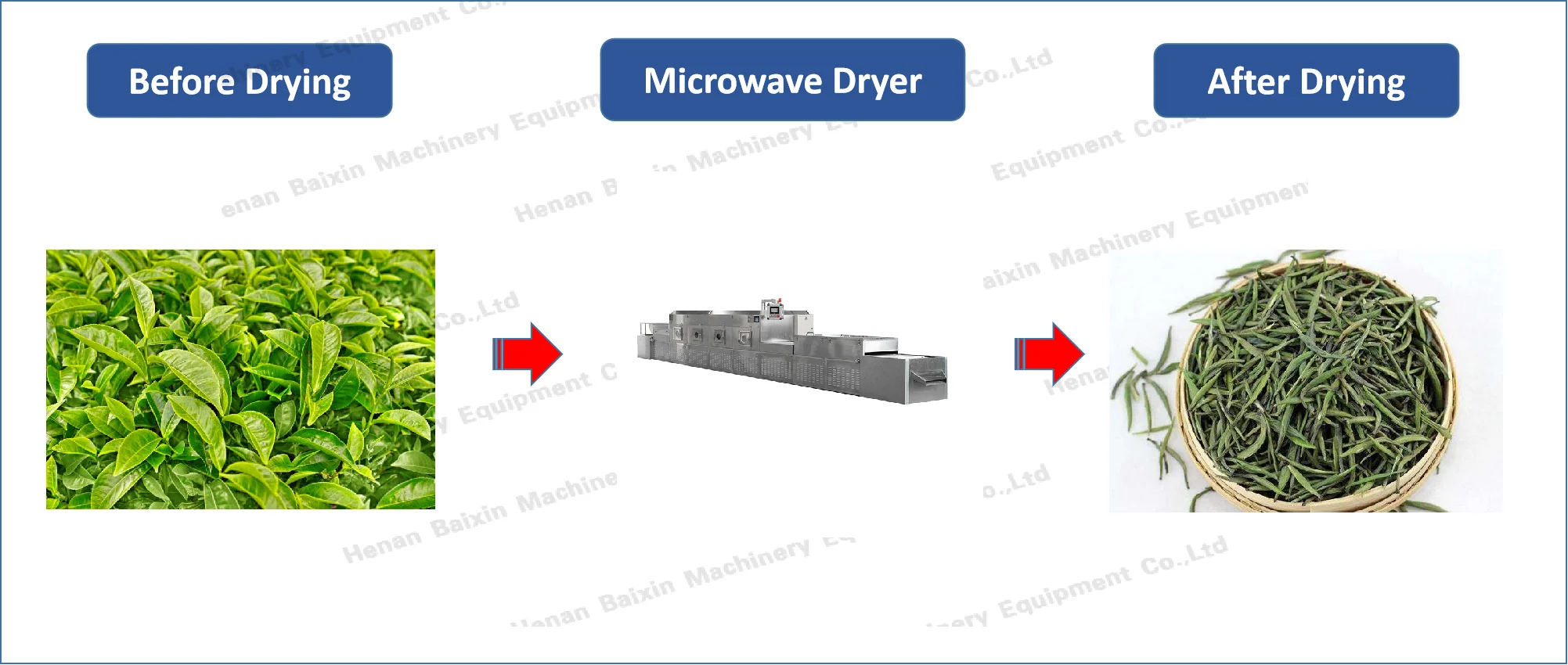 Industrial microwave dryer machine for food processing fruit and vegetable drying machine